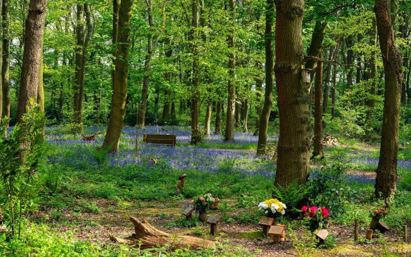 Meaningful funeral