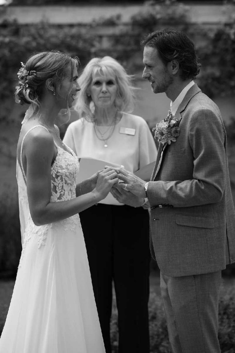 Wedding Gallery example